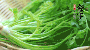 挑選鮮嫩的香菜，洗干凈后，處理成小段。